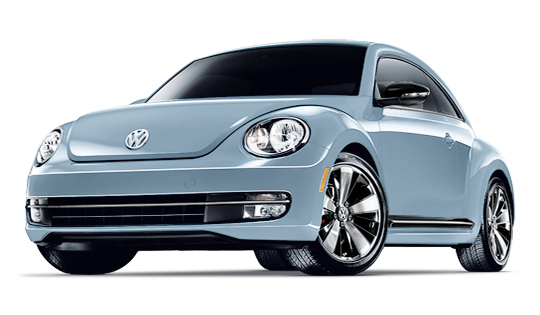 my15_beetle